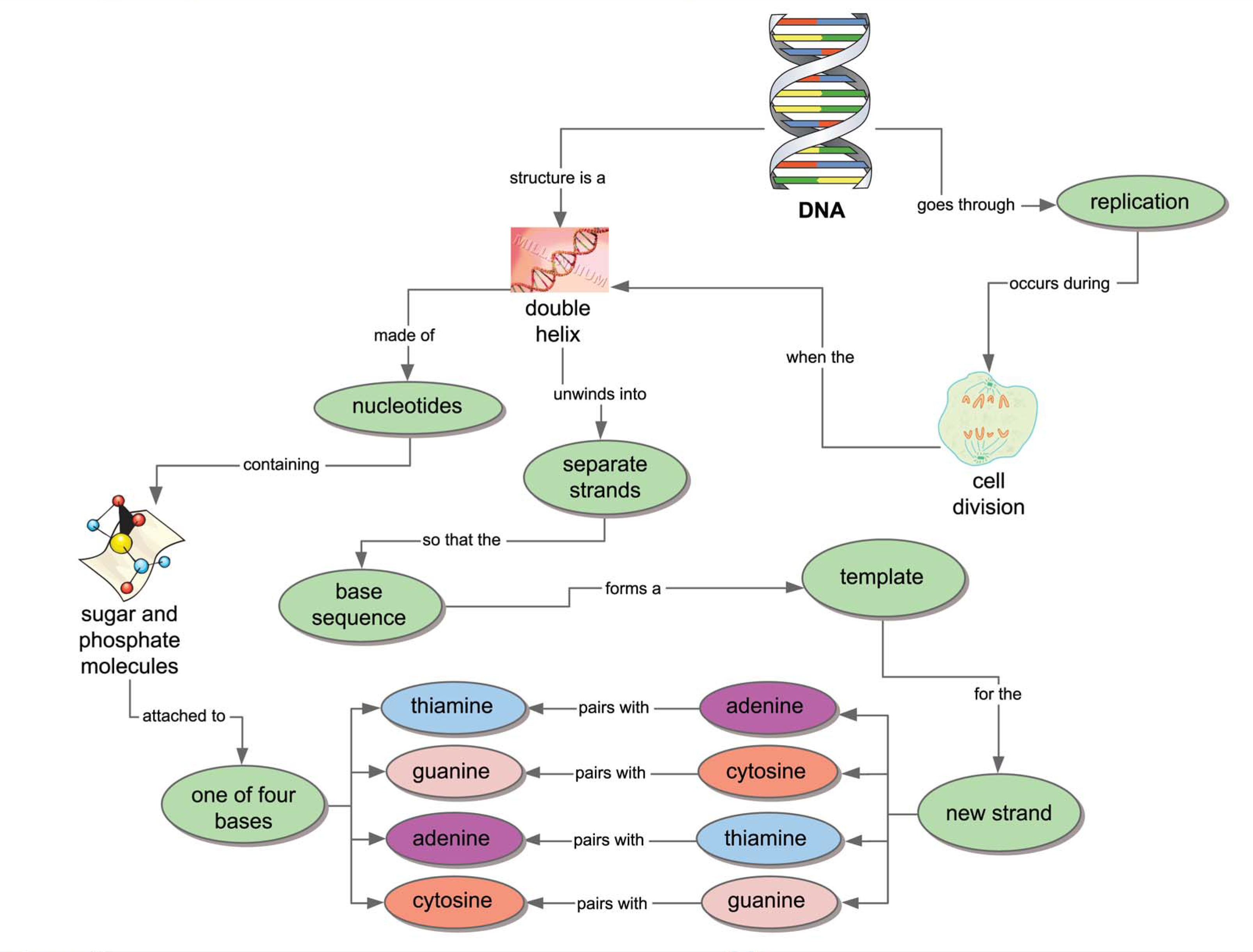 Concept Map Example